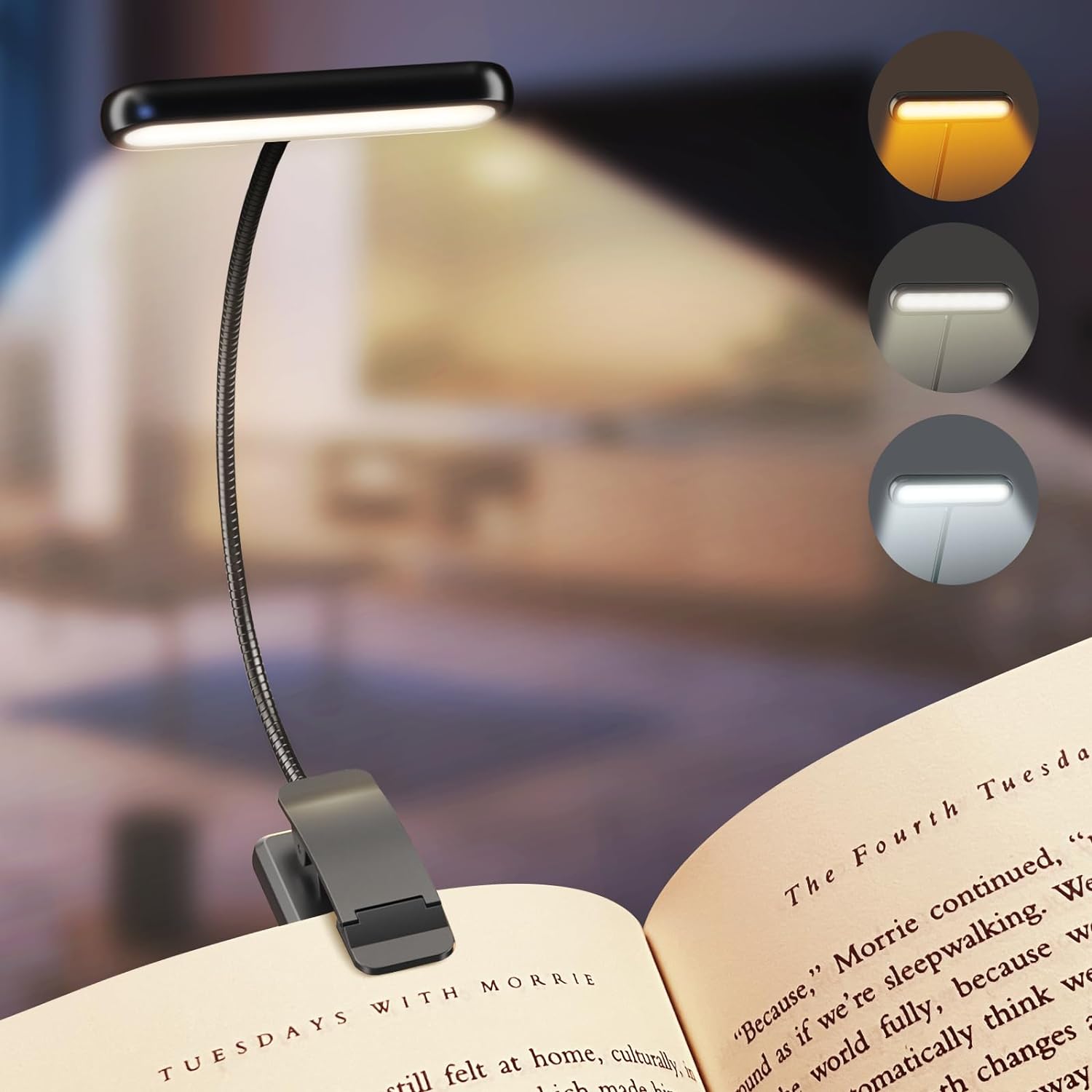 Photography Lighting Book - LED-Buchleuchte, Leseleuchte, augenschonende, aufsteckbare, über USB