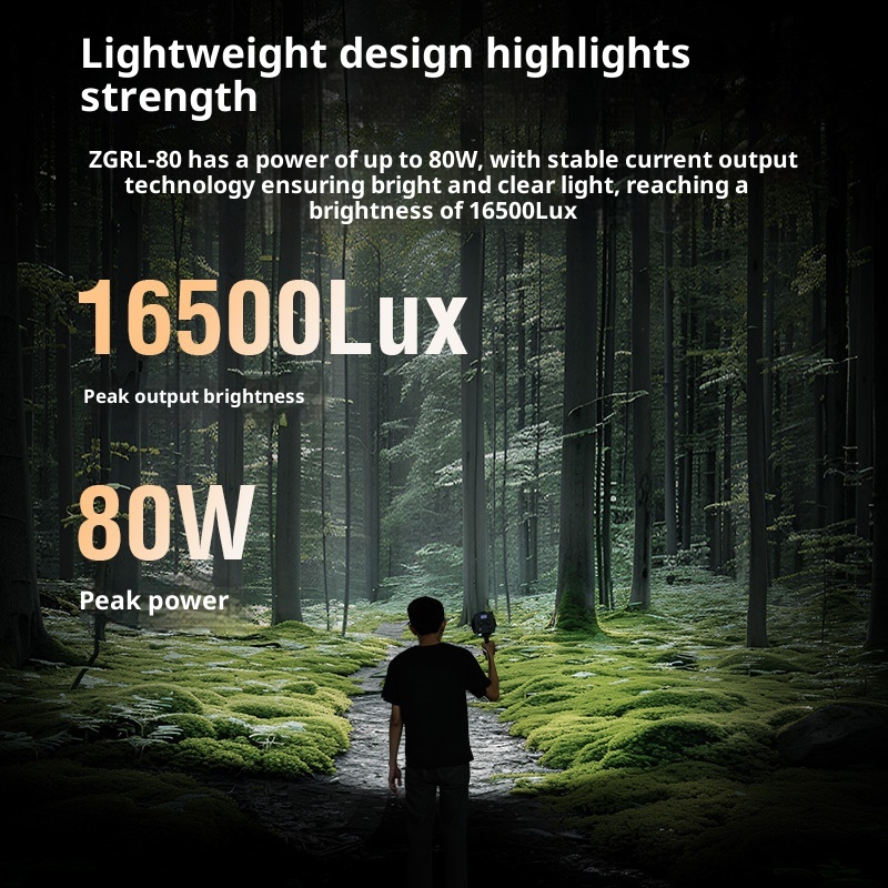 ZGRL80 80 W COB-LED-Videoleuch – Photography Lighting System Bewertung und Preis